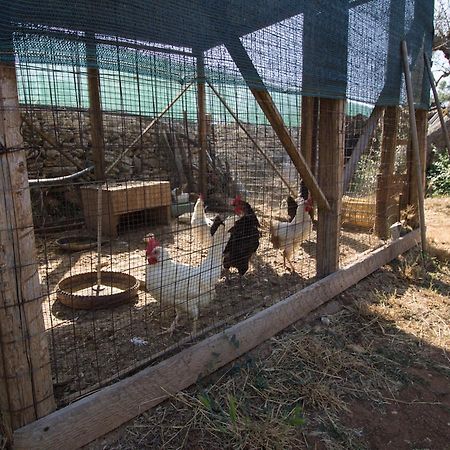 萨兰托加里波利比安库利沃住宿加早餐旅馆 加利波利 外观 照片